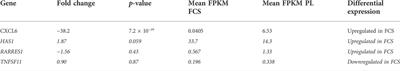 Genetic profiling of human bone marrow mesenchymal stromal cells after in vitro expansion in clinical grade human platelet lysate